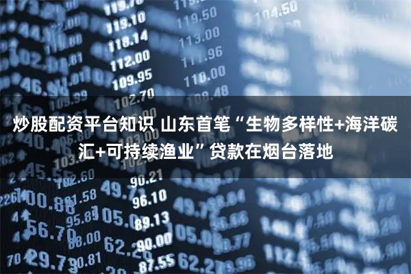 炒股配资平台知识 山东首笔“生物多样性+海洋碳汇+可持续渔业”贷款在烟台落地