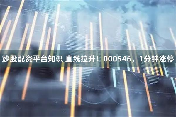炒股配资平台知识 直线拉升！000546，1分钟涨停