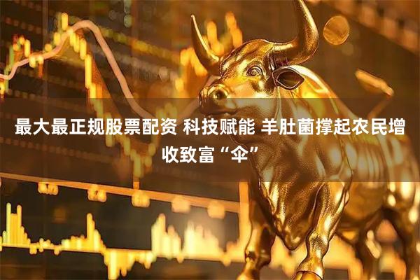 最大最正规股票配资 科技赋能 羊肚菌撑起农民增收致富“伞”