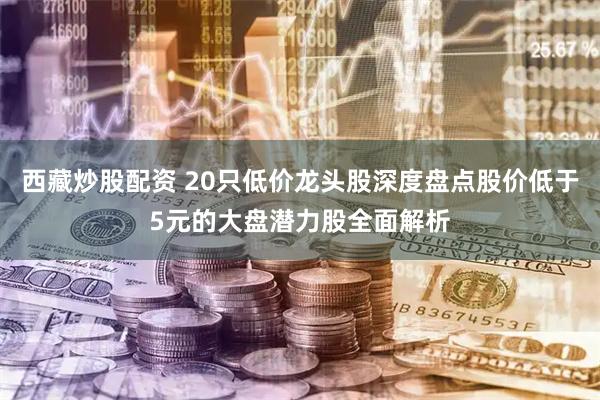 西藏炒股配资 20只低价龙头股深度盘点股价低于5元的大盘潜力股全面解析